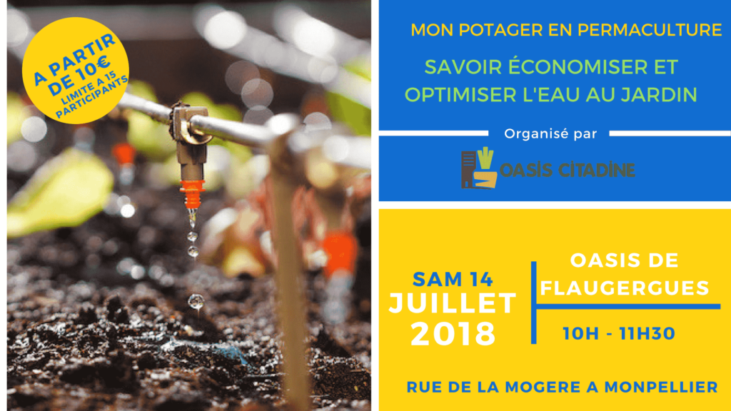Mon potager en permaculture - Economiser et optimiser l'eau au jardin 2-min
