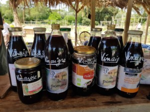 Dix bouteilles et bocaux de vinaigre artisanal alignées sur une table