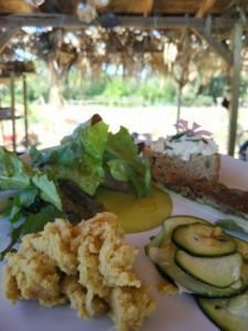Gros plan d'une assiette contenant omelette, mesclun, carpaccio de courgettes et riz