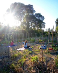 Quatre personnes en pleine séance de sophrologie, au sein du jardin, au soleil couchant.