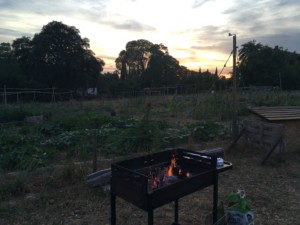 Un barbecue brûle devant les jardins de l'Oasis alors que le soleil se couche derrière les arbres en fond