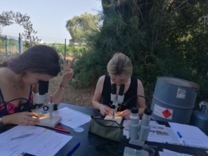 Deux femmes sont en train d'observer dans des loupes binoculaires pour identifier et dénombrer la faune de l'Oasis