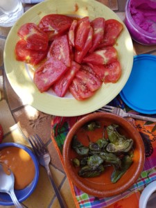 Une assiette contenant une belle tomate tranchée et un ramequin en terre cuite qui contient des petits poivrons verts grillés.