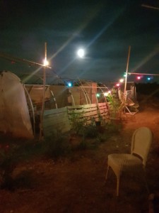 Serre tunnel de l'Oasis avec la pleine lune en arrière plan.