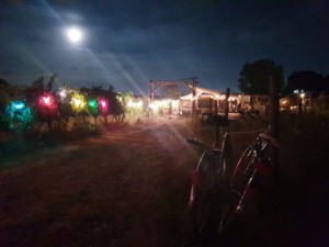 Arche d'entrée de l'Oasis de nuit, éclairée par une guirlande d'ampoules de couleur.