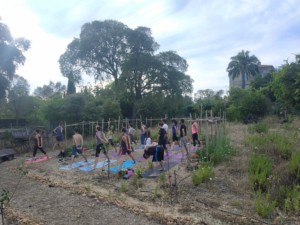 Une autre quinzaine de personnes en train de faire du Yoga. Ils et elles sont debout, pieds écartés, mains jointes dans le dos et bras tendus pour étirer leurs omoplates.