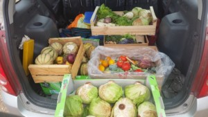 Cagettes de fruits et légumes variés dans le coffre d'une voiture