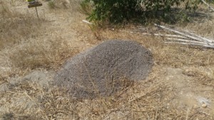 Tas de pouzzolane mélangée à de la terre végétale