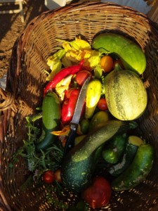 Panier en osier contenant divers fruits et légumes. Poivrons, courgettes, concombres, pastèque...