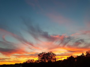 Ciel de l'Oasis au soleil couchant