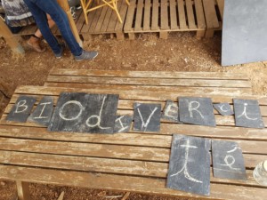 Ardoises portant des lettres et composant le mot "biodiversité"