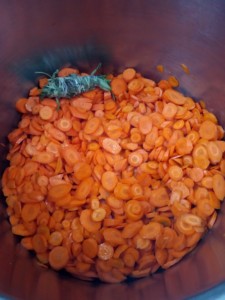 Marmite de rondelles de carottes avec un bouquet garni attendant leur cuisson.