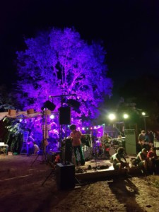 Personnes en train de préparer la scène pour le concert. En arrière plan, un arbre est entièrement éclairé en violet, donnant un aspect irréel à la scène.