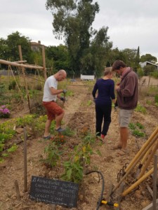 Trois personnes s'affairent dans le jardin