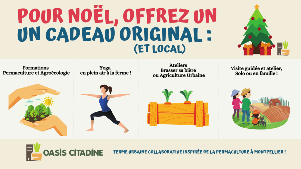 Offre Noël, bannière FB(1)