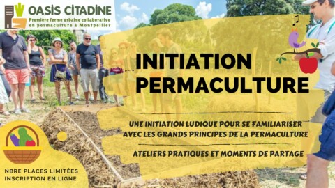 Initiation à la permaculture – 24 Juin 2023